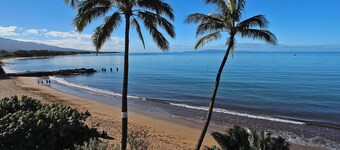 Oceanfront Corner 2 Bdrm2 Bth Condo 410  Panoramic Views  Steps to the Beach!