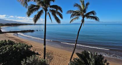 Oceanfront Corner 2 Bdrm2 Bth Condo 410 Panoramic Views Steps to the Beach!