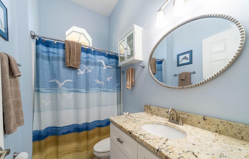 Un baño con cortina de ducha con gaviotas, un lavabo, un espejo y toallas.