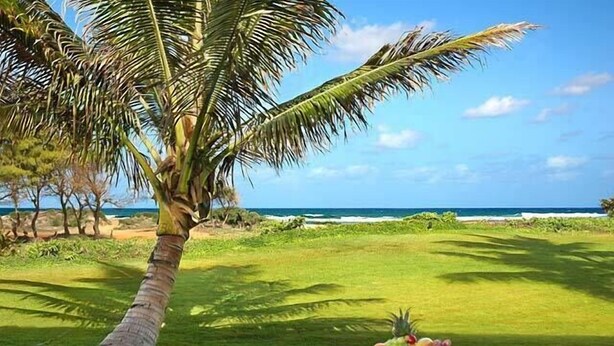 A tropical setting with a palm tree, a table with fruit, and a view of the ocean. - Kauai Beach Villas F-7  A/C & Oceanfront Lanai (Lihue)