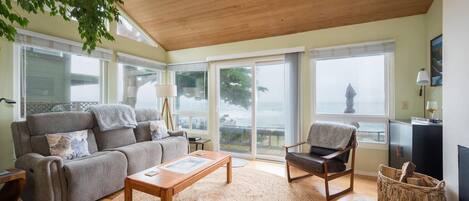 Televisión, chimenea, reproductor de DVD y estéreo