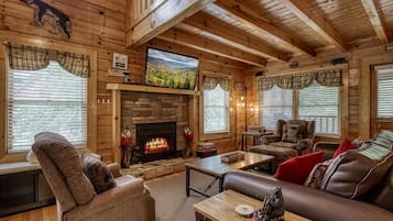 TV, fireplace, video games, DVD player