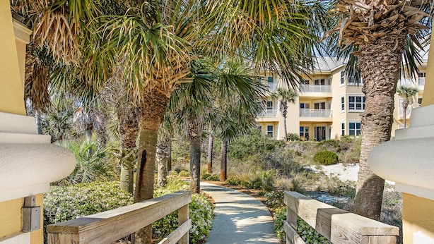 A wooden pathway leading to a building with balconies, surrounded by palm trees and greenery.