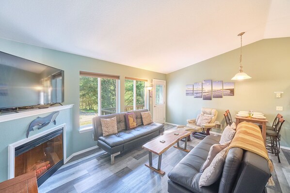 Smart TV, chimenea, reproductor de DVD