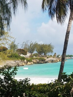 A coastal view with clear turquoise waters, a rocky shoreline, and palm trees. - Mangoville Near Dover Beach (Oistins)