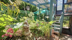 Een tuin met een beeld, diverse planten en een houten pergola.