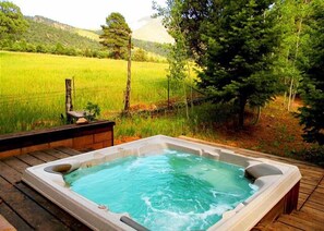 Baignoire à remous extérieure