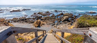 Best Location AND Pet-Friendly! Just Steps Away From Fiscalini Ranch!