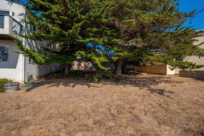 Set amidst a lush coniferous tree, this single-story home offers a serene outdoor space with a grassy yard and a low wall.