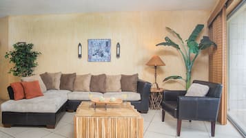 Smart TV, DVD player, books, stereo