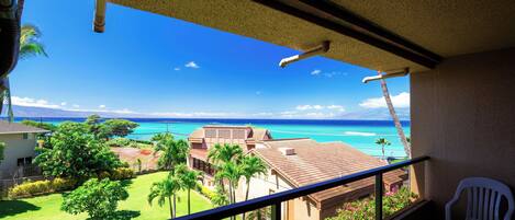 A balcony with a view of a tropical landscape, including a lawn, palm trees, and a house.
