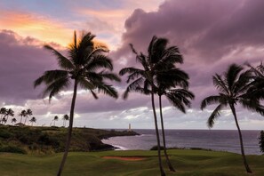 Enjoy a tranquil round of golf amidst lush green fairways and scenic palm trees.