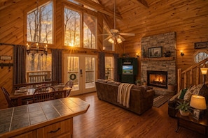 Cheminée, lecteur de DVD