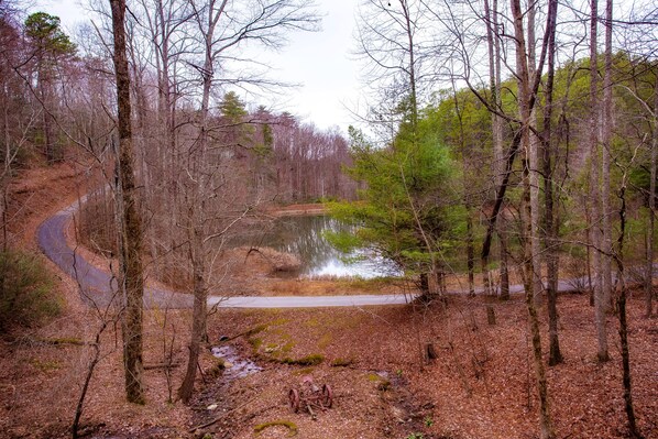 A forested area with a winding road and a small body of water. - Alpine Joy- Hot Tub, Lake Access, Cozy Cabin Retreat in the Smokies (Townsend)