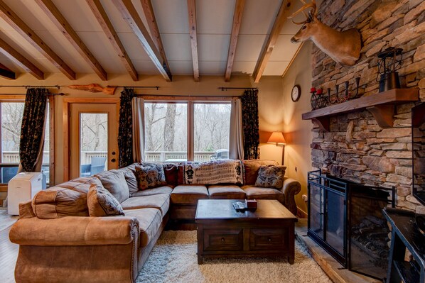 Televisión, chimenea, videojuegos y reproductor de DVD 