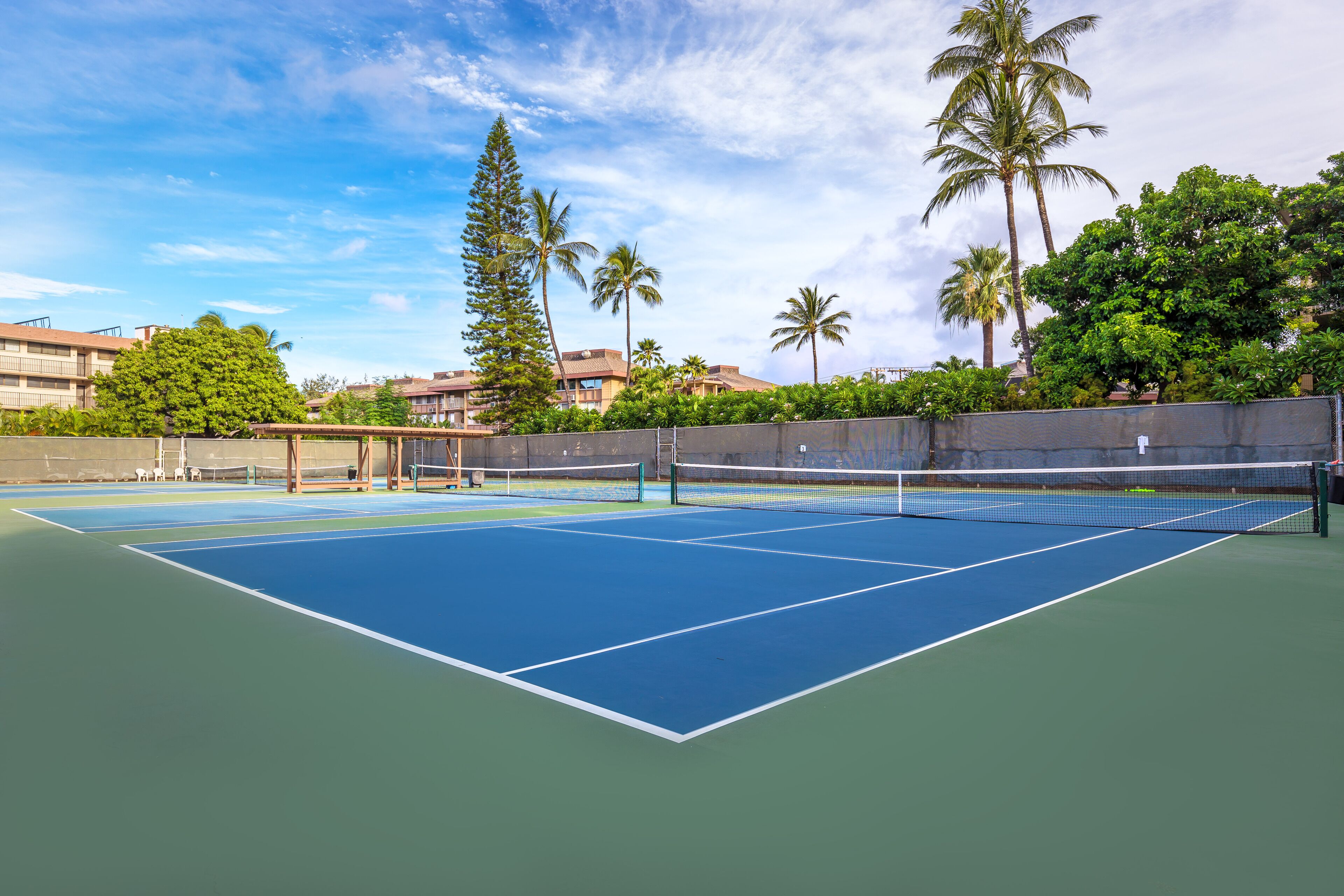 Un court de tennis avec un filet, entouré de palmiers et avec un bâtiment en arrière-plan.