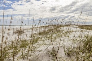 Ein Strand mit Dünen und spärlicher Vegetation.