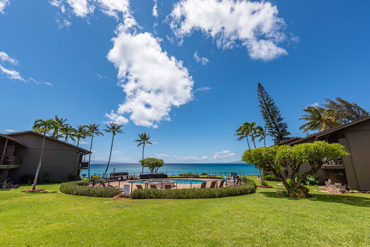 A resort with a swimming pool, palm trees, and a view of the ocean.