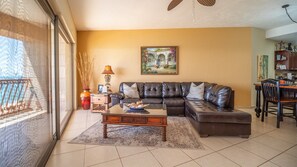 Smart TV, DVD player, books, stereo