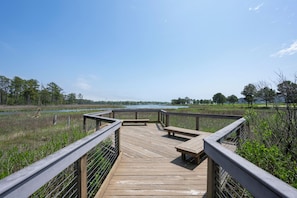 Un muelle de madera con bancos que da a un lago y una zona de humedal.