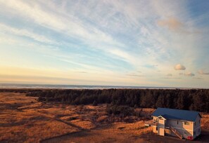 Une maison à deux étages avec un toit bleu, située dans un champ verdoyant, avec une forêt en arrière-plan.