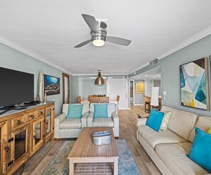 TV, DVD player, video library