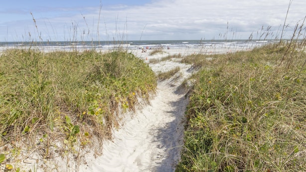Uma trilha de areia leva a uma praia com dunas e vegetação rala.