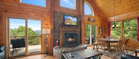 TV, fireplace, video games, DVD player