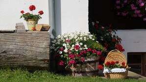 Un décor extérieur rustique avec un banc en bois, un panier en osier rempli de fleurs et une plante en pot aux fleurs rouges.