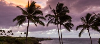 Mooi appartement aan het strand centraal gelegen aan de Coconut Coast aan de oostkant van Kauai