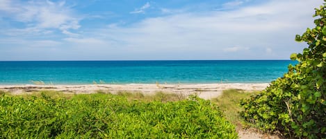 Playa en los alrededores y camastros 