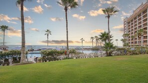 A resort with a pool, palm trees, and a view of the ocean.