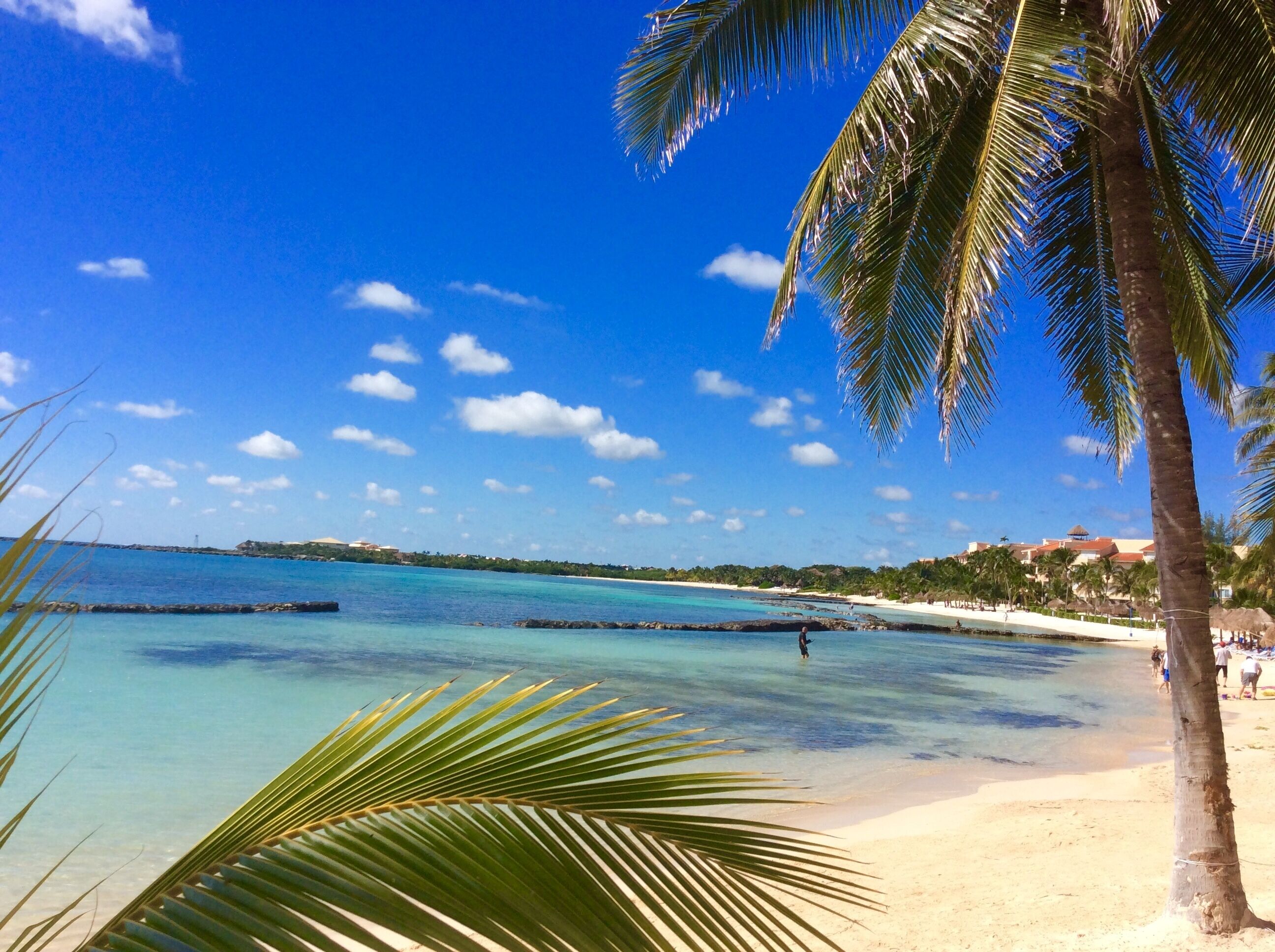 A beach with clear turquoise water, palm trees, and a distant building.