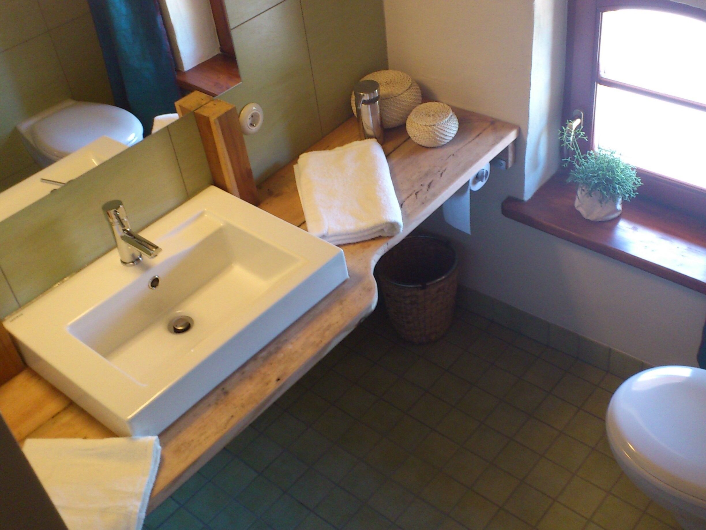 A bathroom with a white sink, wooden countertop, and a window with a plant.