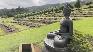 A large outdoor statue of a seated figure in a landscaped garden with terraced fields and trees in the background.