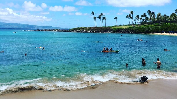 A beach with clear turquoise water, people swimming and surfing, and palm trees in the background.