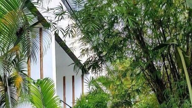 Un exuberante jardín con diversas plantas tropicales y un camino de piedra que conduce a un edificio.