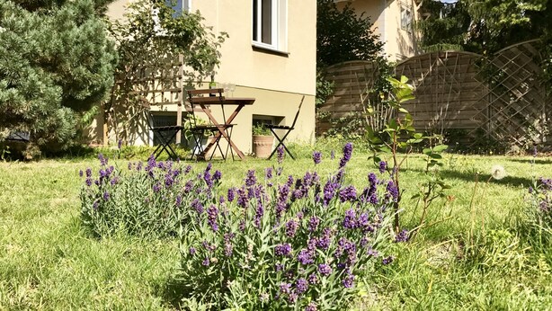 Un giardino con fiori viola e un tavolo di legno con sedie.