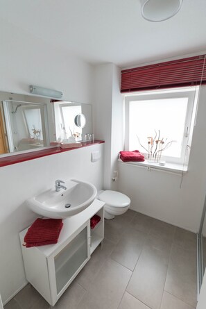 Douche, sèche-cheveux, serviettes fournies, papier toilette