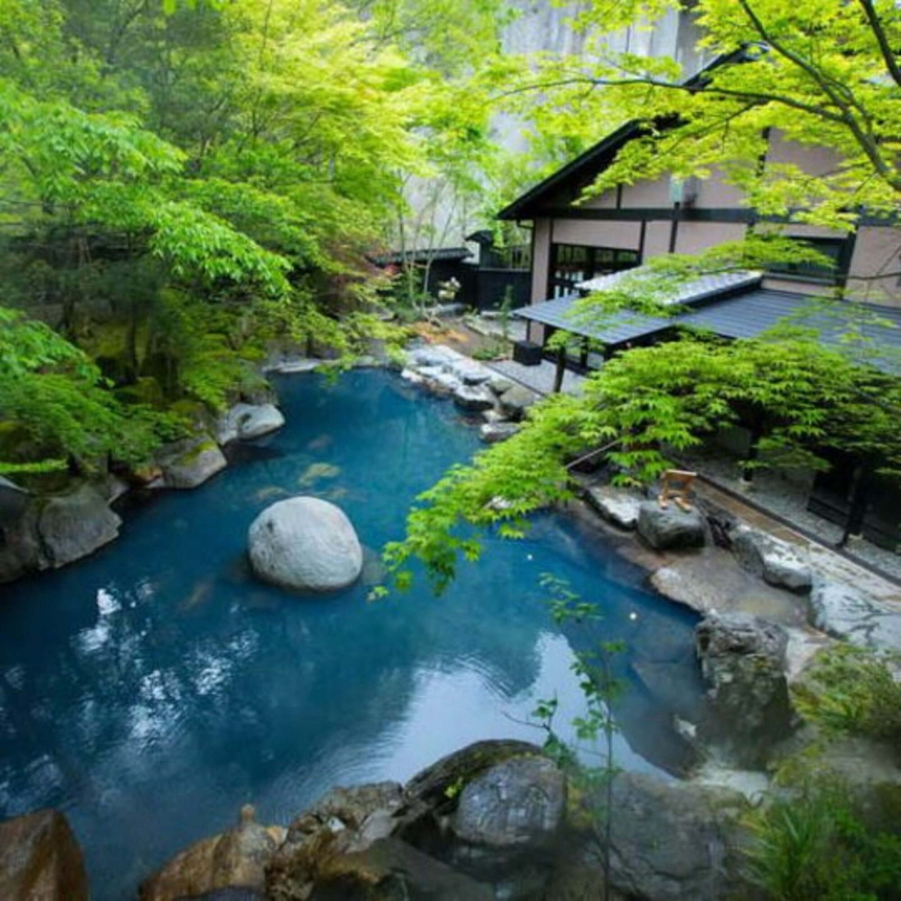 Um jardim tranquilo com um lago azul límpido, rodeado por pedras e vegetação exuberante.