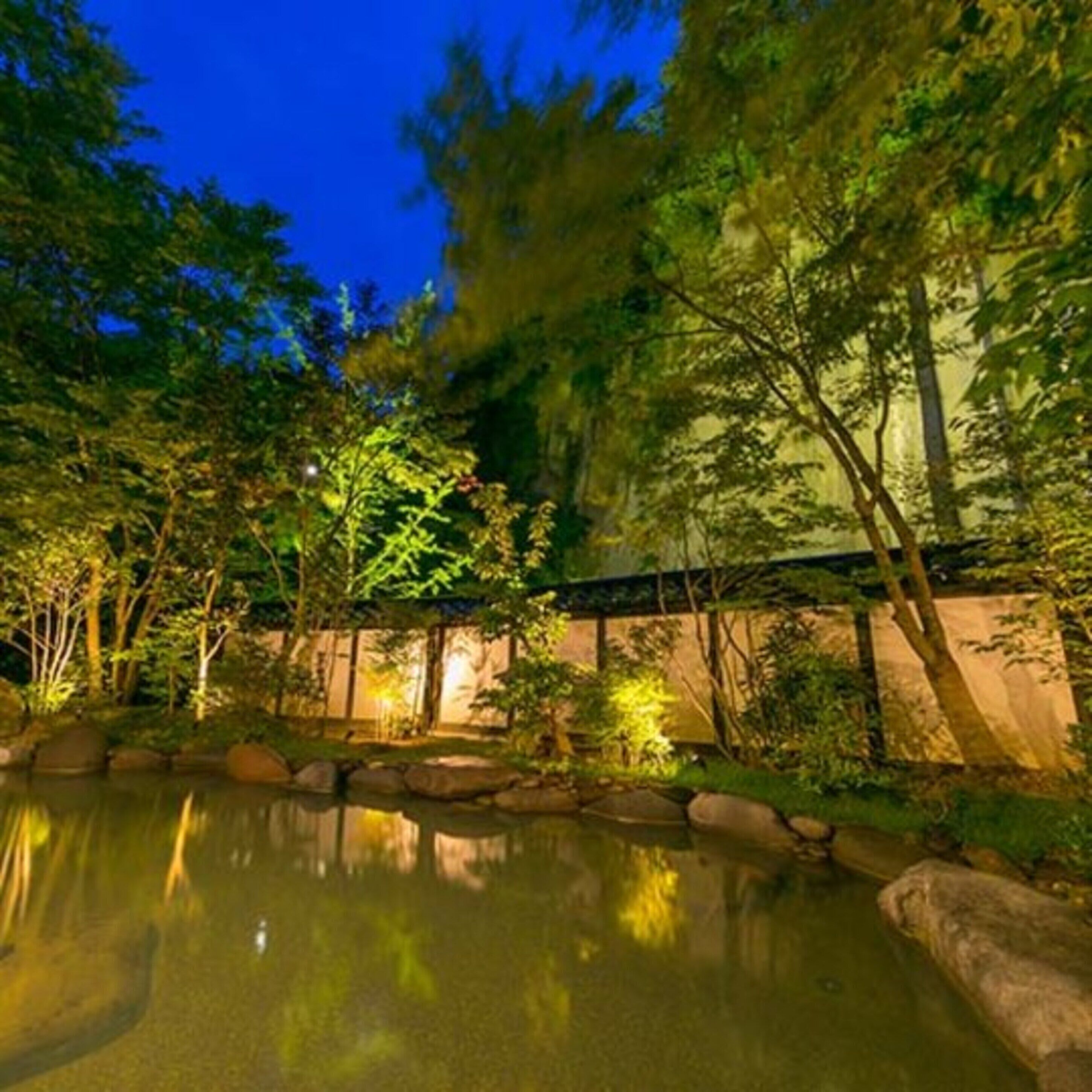 Un jardín tranquilo al aire libre con un estanque, rodeado de rocas y árboles, iluminado con luz suave.