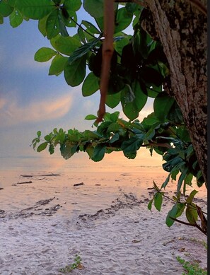 A beach with a tree trunk and green foliage in the foreground, and a calm sea in the background. - Lanta Mansion (Ko Lanta)