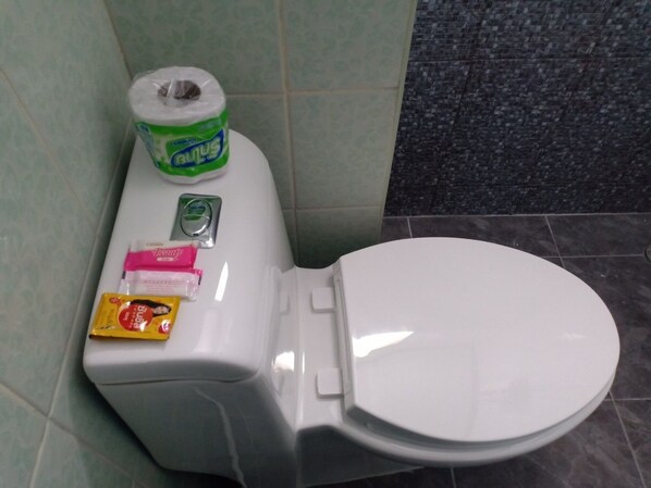 Un inodoro con asiento y tapa blancos, un rollo de papel higiénico, un pequeño paquete de pañuelos de papel y algunos objetos pequeños más sobre el tanque.