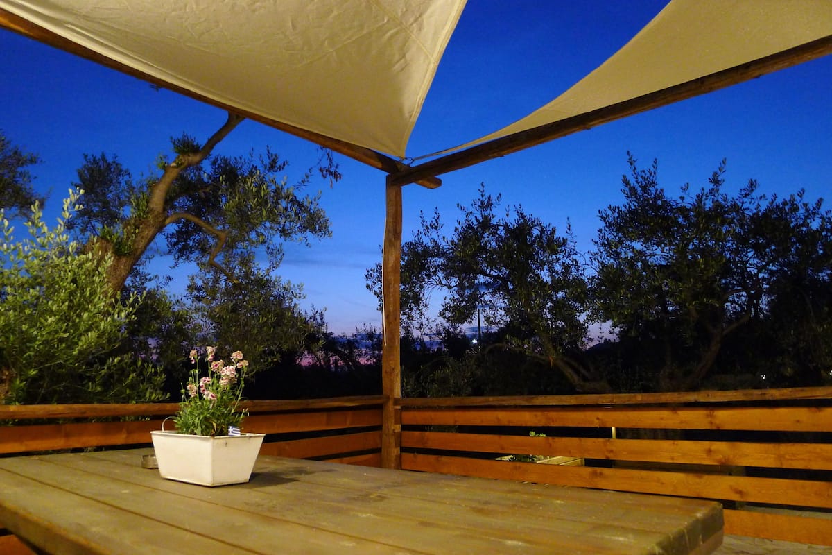 Una terraza de madera con un banco y una planta en maceta.