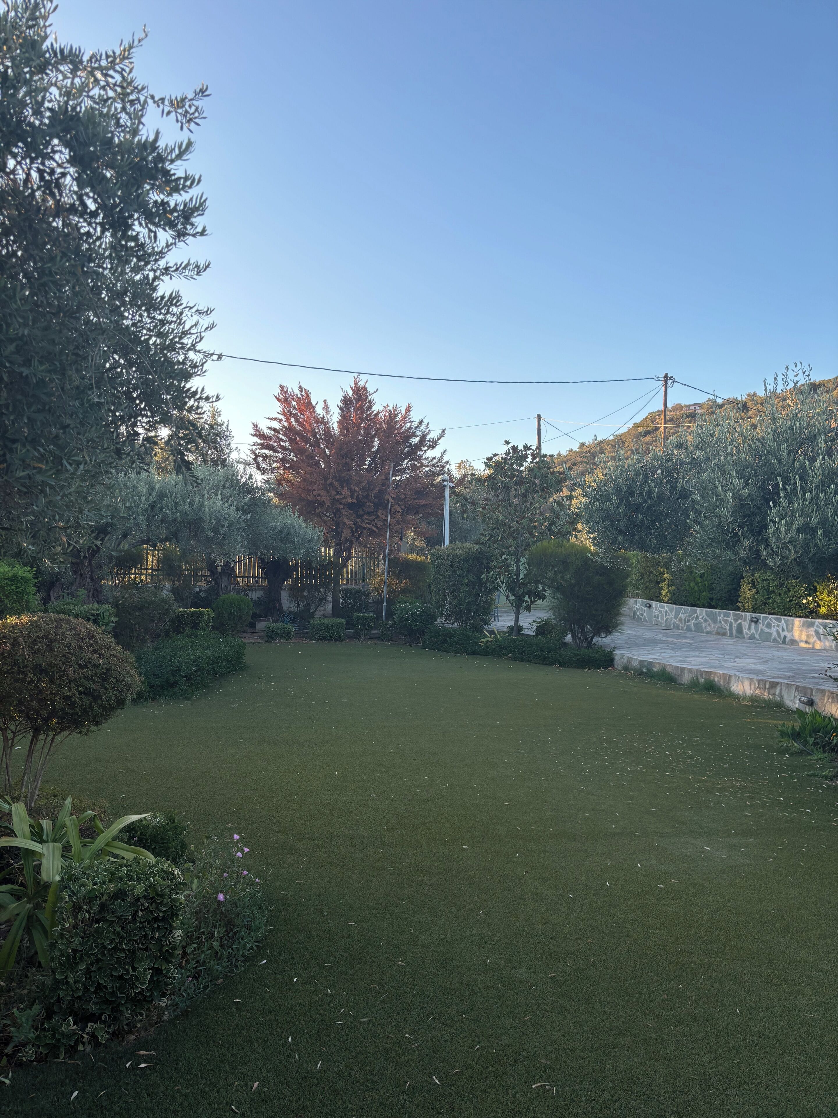 A well-maintained grassy yard with various shrubs and trees, a stone wall, and a clear blue sky.