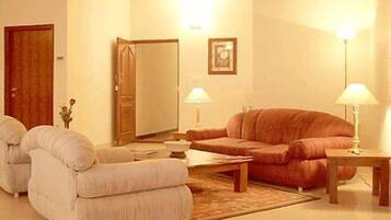 Executive Double Room, 1 King Bed, Accessible, City View | Living area | Flat-screen TV, fireplace, DVD player, first-run films