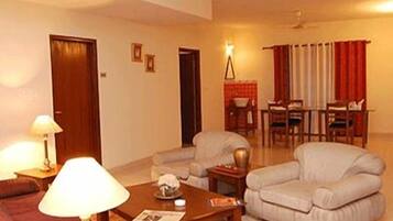 Executive Double Room, 1 King Bed, Accessible, City View | Living area | Flat-screen TV, fireplace, DVD player, first-run films