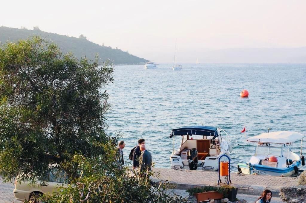 A coastal scene with boats, a beach, and a hill in the background.