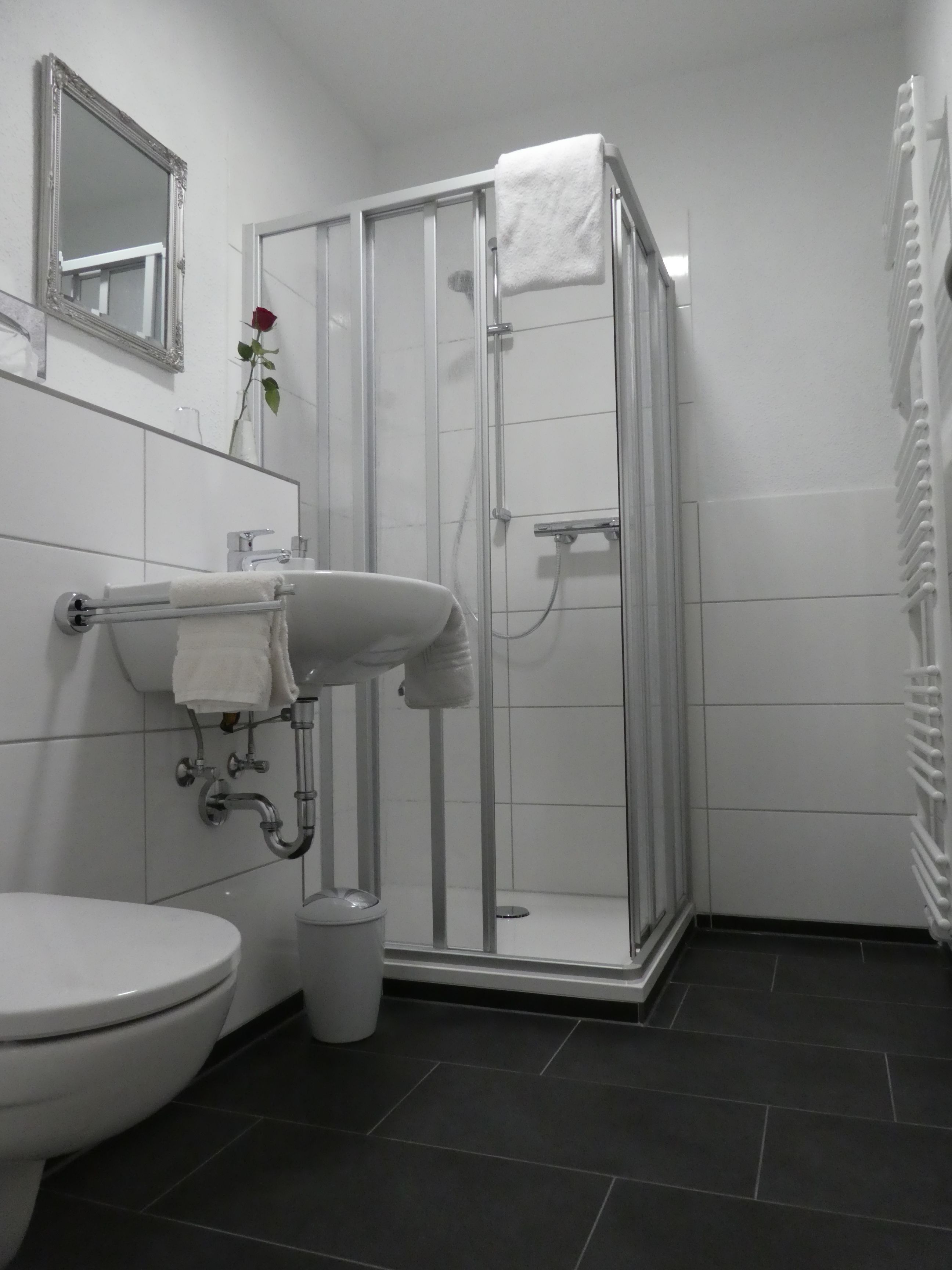 Un baño moderno con inodoro, lavamanos y ducha envuelta en vidrio.