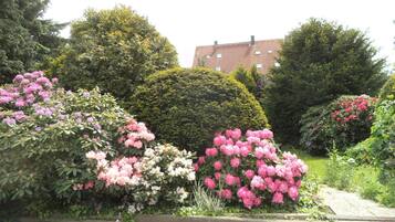 En have med forskellige blomstrende buske og en velklippet hæk.